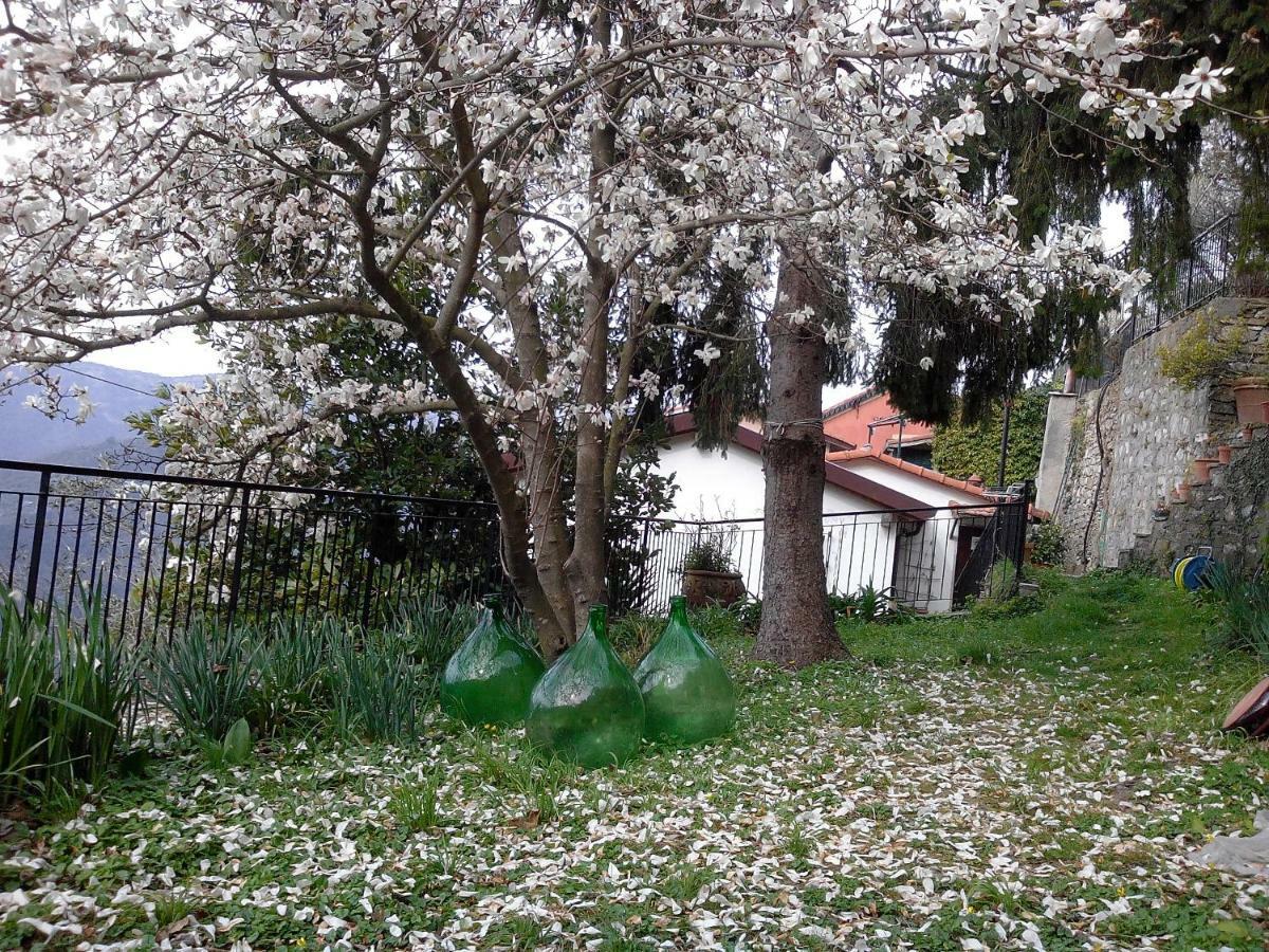 B&B I Glicini Vescina Exterior foto