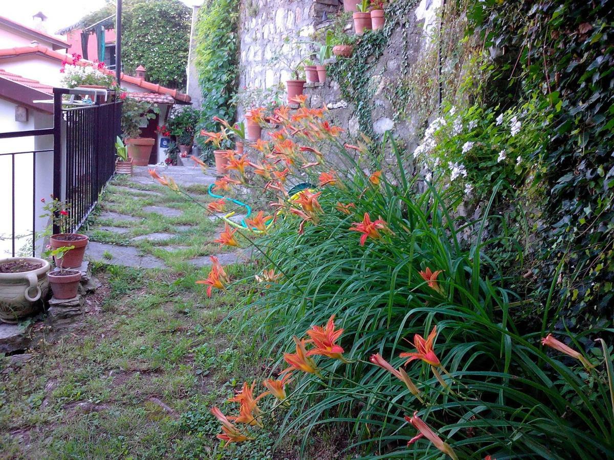 B&B I Glicini Vescina Exterior foto